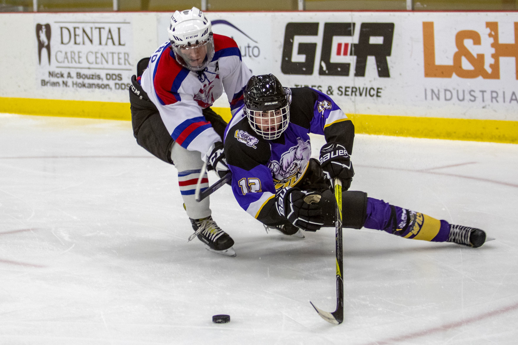 Gillette Wild Versus Douglas